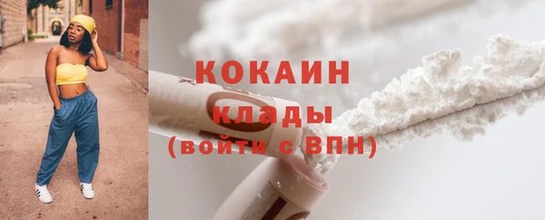 прущие грибы Заволжск