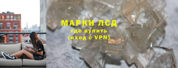 прущие грибы Заволжск