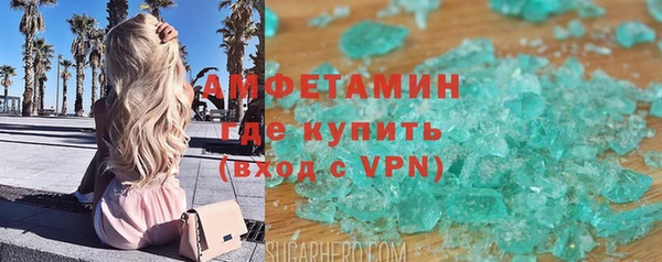 прущие грибы Заволжск