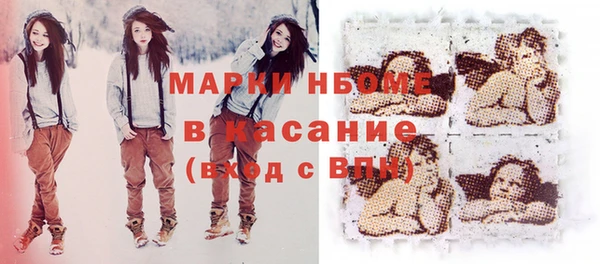 прущие грибы Заволжск