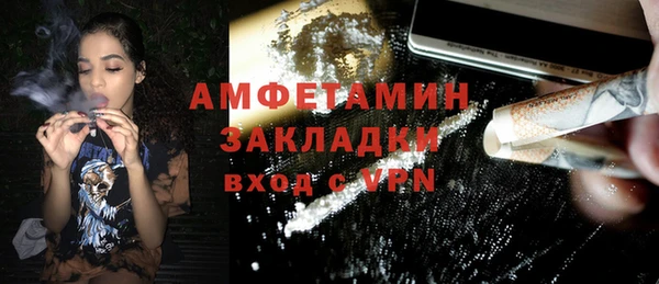 прущие грибы Заволжск
