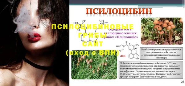 прущие грибы Заволжск