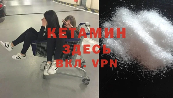 прущие грибы Заволжск