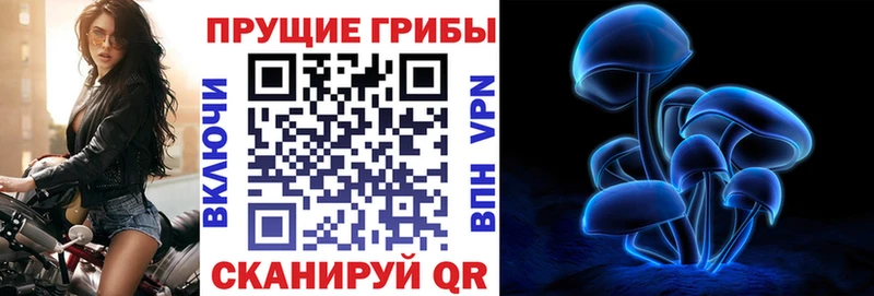 Галлюциногенные грибы Psilocybe  Купить закладки  Воскресенск 